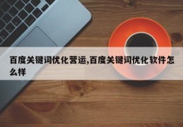 百度关键词优化营运,百度关键词优化软件怎么样