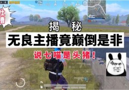 和平精英主播上热门攻略