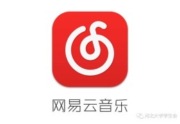 网易云直播间说话技巧在哪,网易云直播聊天气泡怎么设置