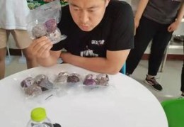 直播红薯卖货技巧,主播地瓜在哪里直播