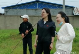养羊技巧教学直播,养羊技巧教学直播视频