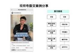 如何进一步提升热门视频的涨粉率及再次上热门策略