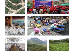 微信电视直播技巧详解，观看与学习直播技巧的平台与途径