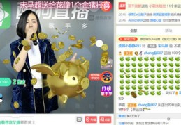 bbs直播技巧,论坛直播间