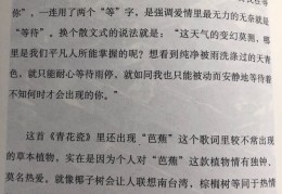 如何配歌词字幕以吸引热门关注度