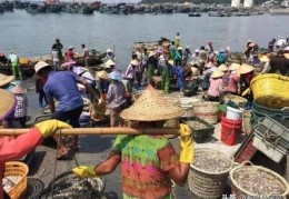 海鲜行业直播技巧,海鲜行业直播技巧和方法