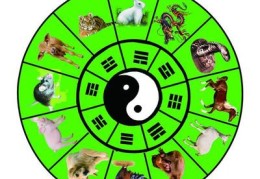 生肖匹配直播技巧,生肖的匹配真的这么重要吗?