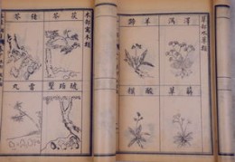 本草纲目舞蹈，如何快速登上热门