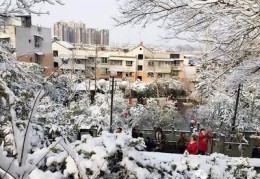 头条直播雪景技巧,头条直播怎么涨人气