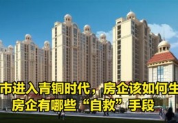 直播揭秘新楼盘推介与抢车位攻略，专业技巧大解析