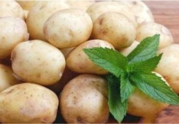 土豆直播技巧,土豆直播技巧与方法