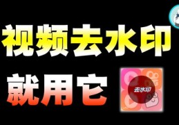 短视频拍摄教学，专业教程与技巧在线学习网页