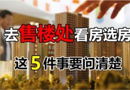 湖南买房技巧直播，揭秘直播买房的目的与策略