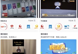 新闻直播投屏技巧,新闻直播投屏技巧和方法