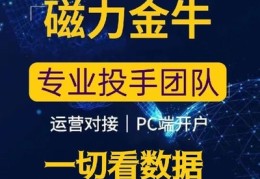 直播视频投放技巧,直播投屏教程