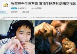 张哥直播技巧分享,快手张哥