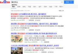 福州关键词优化百度,福州关键词自动排名