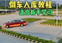 新手倒车入库技巧直播教学与视频分享