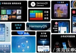 直播聊天技巧软件,直播聊天技巧软件有哪些