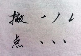 写字技巧入门基础直播,写字的技巧视频教程