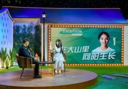 贵州卫视直播技巧,贵州卫视直播在