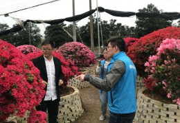 花卉苗直播技巧,花卉直播主要在哪些方面应用
