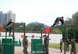 训练基地快速上热门攻略，秘诀大揭秘！