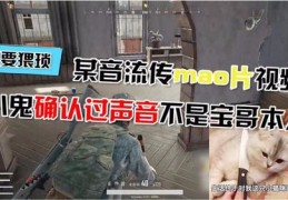 绝地求生抖音视频攻略，如何制作上热门视频？