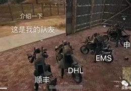 手机斗鱼直播技巧,斗鱼直播手机如何直播