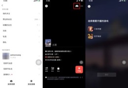 视频号游戏直播技巧大揭秘，入门条件与直播策略