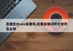 百度优化seo关键词,百度关键词优化软件怎么样