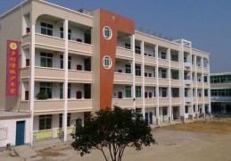 直播技巧培训乡村教师,农民直播培训方案