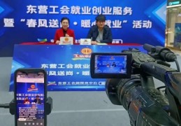 齐鲁卫视直播技巧,齐鲁卫视app