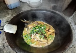 酸汤鱼制作教程，轻松打造热门美食视频！