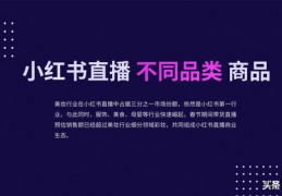 直播运营说唱技巧总结,直播运营说唱技巧总结与反思