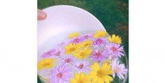 一片花怎么拍摄的视频教程 VS 等一分钟拍摄教程怎么拍