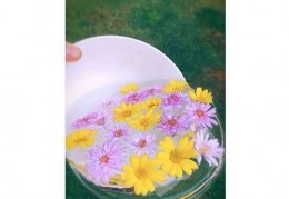 一片花怎么拍摄的视频教程 VS 怎么拍摄熊二声音视频教程