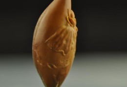 橄榄核直播雕刻技巧,雕刻橄榄核视频