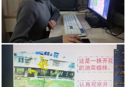 钉钉直播课堂，直播技巧与使用方法指南