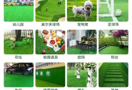地毯直播技巧,直播卖地毯利润怎么样