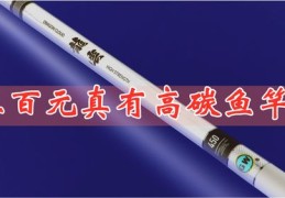 鱼竿直播测试全解析，技巧与评测视频指南