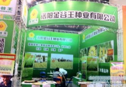 种子化肥直播技巧,种子化肥照片