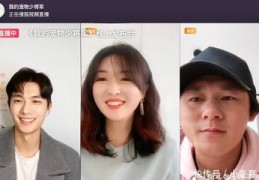 宠物直播拍摄技巧,宠物直播拍摄技巧视频