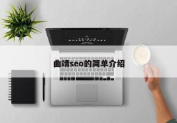 曲靖seo的简单介绍