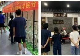直播盆景知识技巧,直播卖盆景需要什么设备