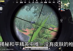 和平精英抖音上热门攻略秘籍