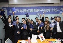 线上直播卖车技巧,线上直播卖车技巧和方法