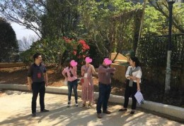 龙岩市百度关键词优化服务,龙岩之窗