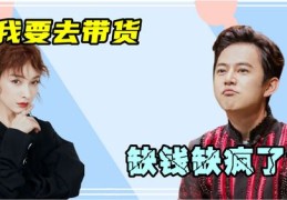 直播服装带货话语技巧,直播服装带货话语技巧大全