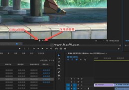 新手如何上热门教学视频-新手上道视频